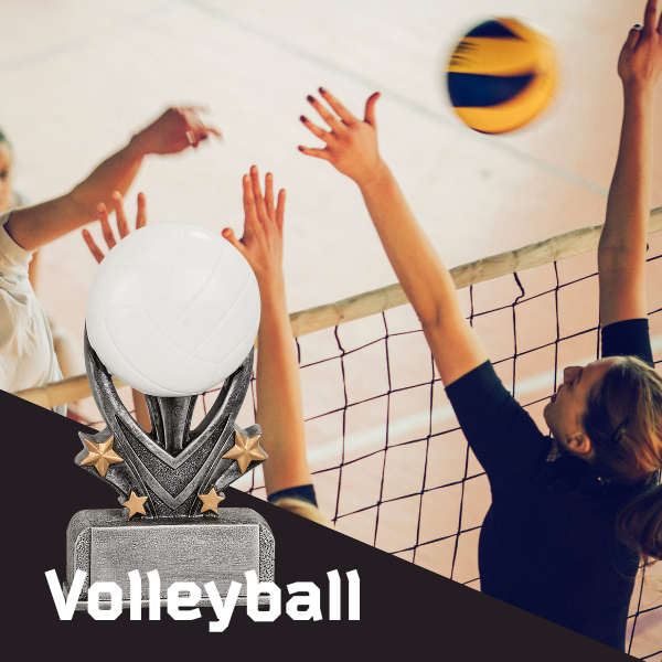 Volleyball Trophies and Awards