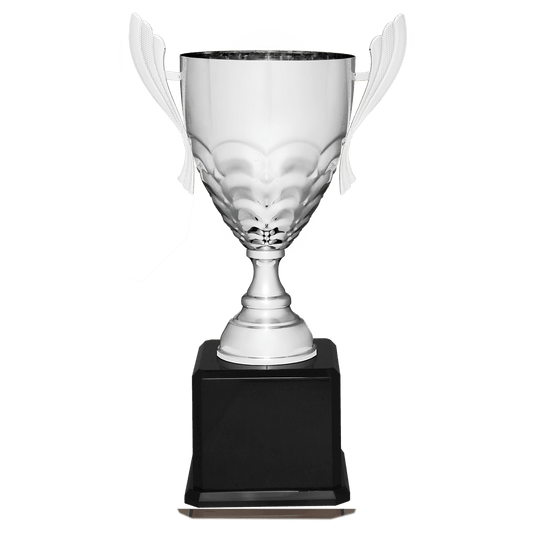 Silver Completed Metal Cup Trophy on Black Royal 23 1/2" Piano Finish Base