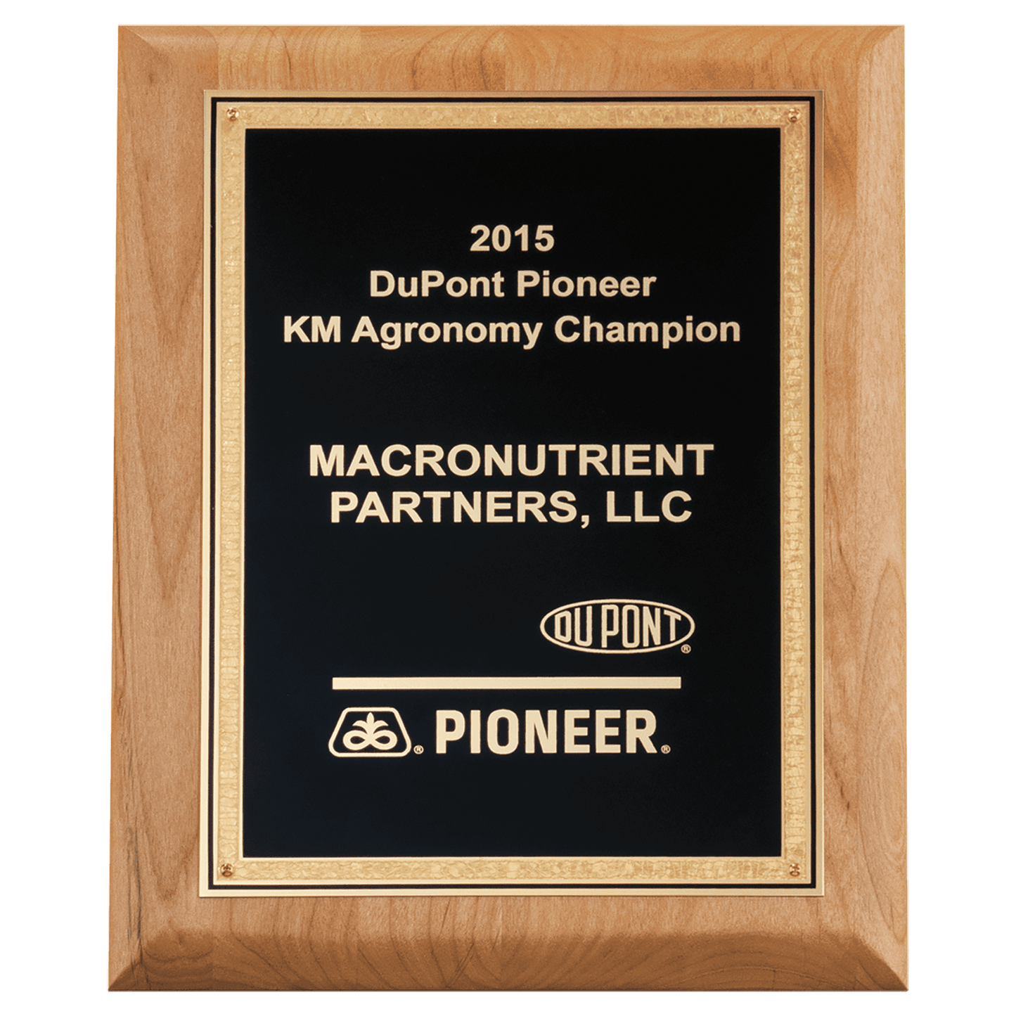 Alder Wood Plaque with Black Textured, Gold 9" x 12" Natural Florentine Bordered LaserFX Plate